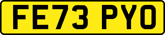 FE73PYO