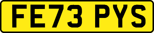 FE73PYS
