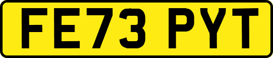 FE73PYT