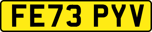 FE73PYV
