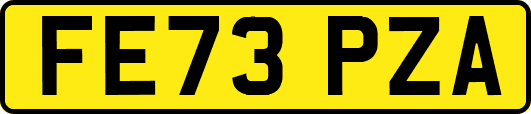 FE73PZA