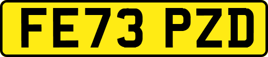 FE73PZD