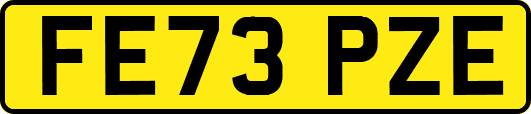 FE73PZE