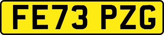 FE73PZG
