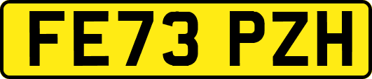 FE73PZH