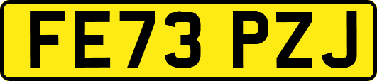 FE73PZJ