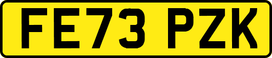 FE73PZK