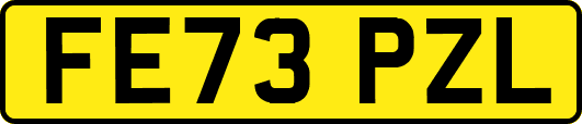 FE73PZL