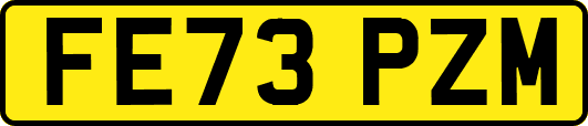 FE73PZM