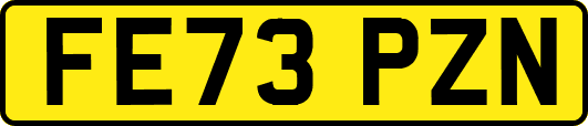 FE73PZN