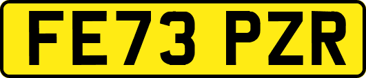 FE73PZR
