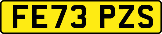 FE73PZS