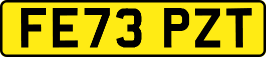 FE73PZT