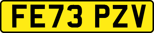 FE73PZV