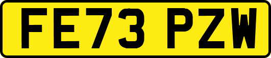 FE73PZW