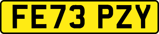 FE73PZY