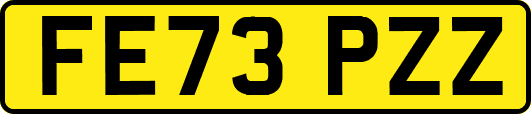 FE73PZZ