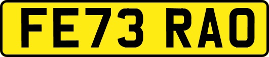 FE73RAO