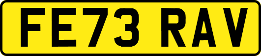 FE73RAV