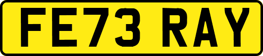 FE73RAY