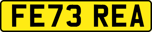 FE73REA