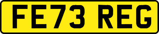 FE73REG