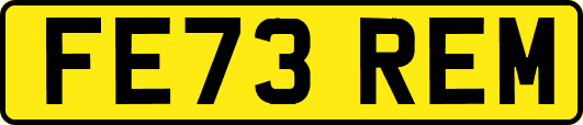 FE73REM