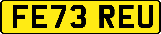 FE73REU