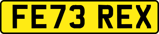 FE73REX