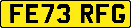 FE73RFG