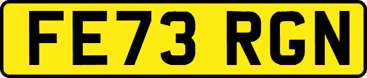 FE73RGN