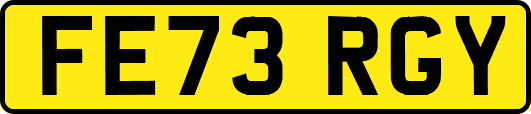 FE73RGY