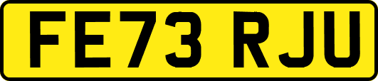 FE73RJU