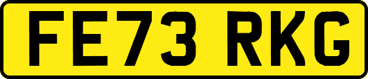 FE73RKG