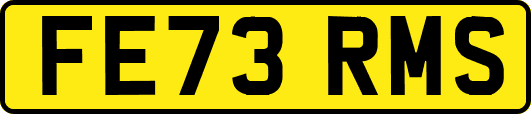 FE73RMS