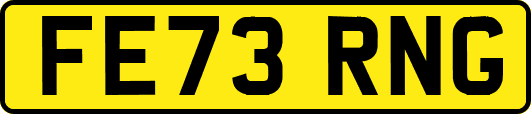 FE73RNG