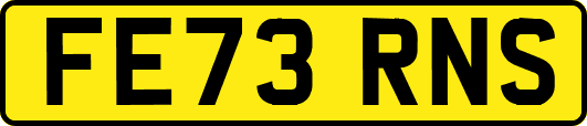 FE73RNS