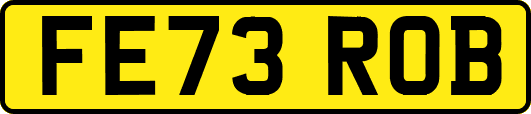 FE73ROB