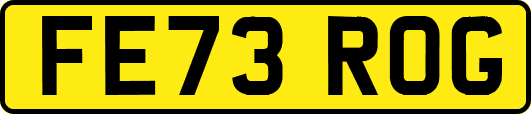 FE73ROG