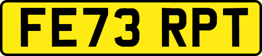 FE73RPT