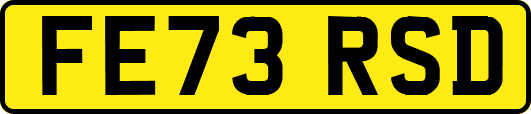 FE73RSD