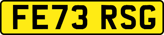 FE73RSG