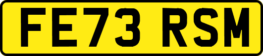 FE73RSM