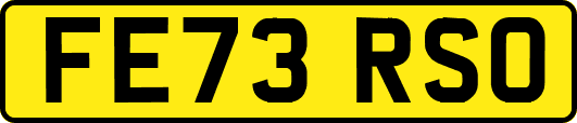 FE73RSO