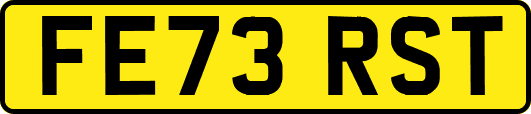 FE73RST