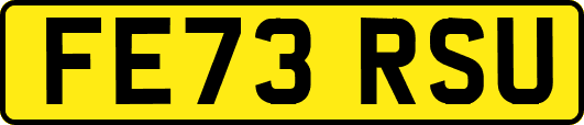 FE73RSU