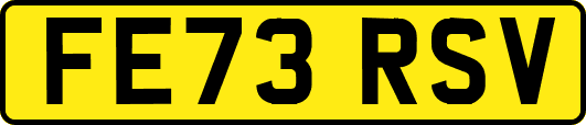 FE73RSV