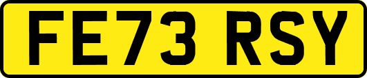 FE73RSY