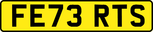 FE73RTS