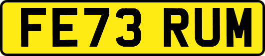 FE73RUM